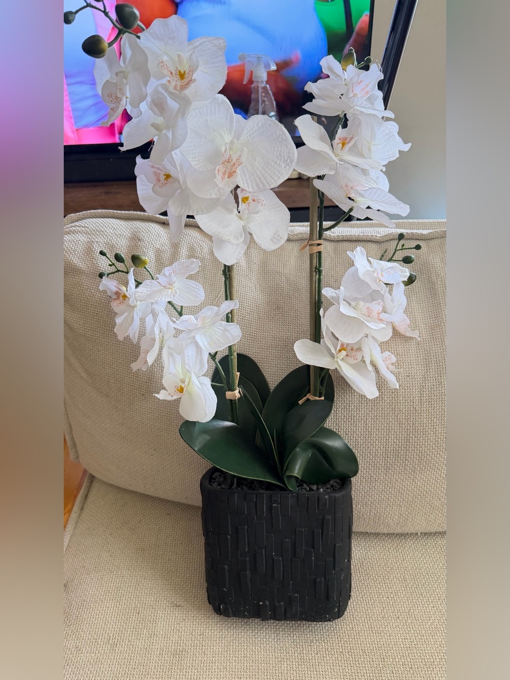 White Phalaenopsis Orchid Artificial Plant in Black Planter - Home Accents